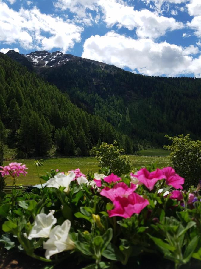 Alpin Appart Reiterhof 尼德泰 外观 照片